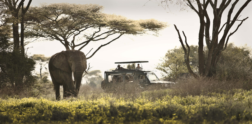 andBeyond Serengeti under Canvas