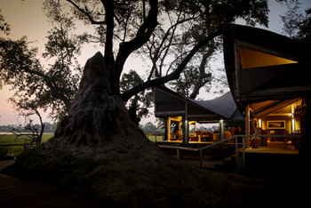 Abu Camp Abu Camp: Dachsegel