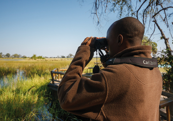 Belmond Eagle Island Lodge: Tierbeobachtung vom Deck aus