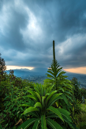 Bisate Lodge: Wolekn über der Vulkanlandschaft