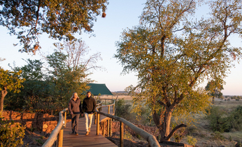 Deteema Springs Camp: Steg