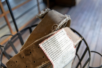 Duma Tau Camp: GPS-Halsbänder