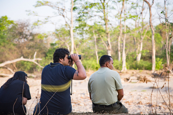 Jim's Jungle Retreat: River Walk