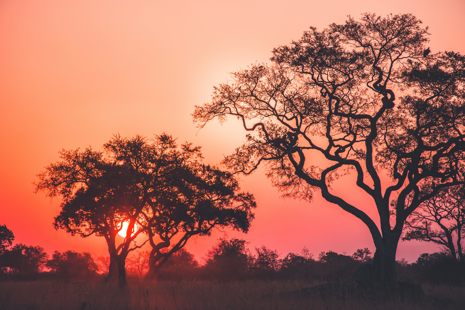 Lebala Camp Lebala Camp: Sonnenuntergang