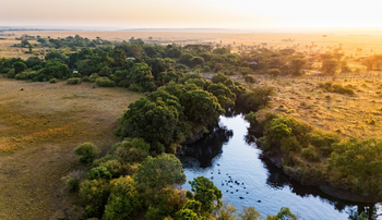 Mara Toto Tree Camp: Nilpferde im Ntiakitiak River