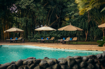 Moivaro Lodge: Poolside Liegen im Naturparadies