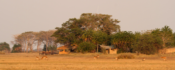 Mukambi Busanga Plains Camp: Lage in einer Bauminsel