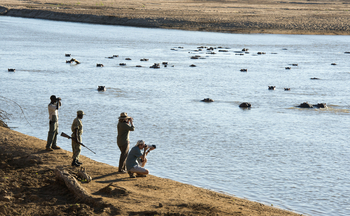 Puku Ridge Camp: Walking Safari