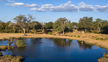 Sabi Sabi Bush Lodge: Vogel auf Flusspferd am Wasserbody
