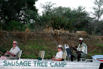 Sausage Tree Camp: Löwen und Angler