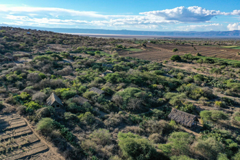 Tindiga Tented Camp: Luftaufnahme von Zelten in üppiger Landschaft