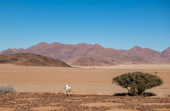 Wolwedans Boulders Camp: Fairy Circles