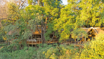 Camp Moremi: Luftbild