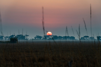Chisa Busanga Camp Chisa Busanga Camp: Untergehende Sonne