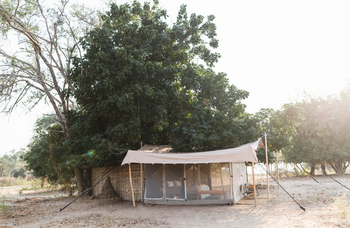 Chula Island Camp Chula Island Camp: Zelt im Schatten eines Baumes