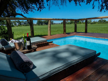 Duba Explorers Camp: Liegestühle am Swimming Pool