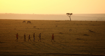 Elewana Elephant Pepper Camp Elewana Elephant Pepper Camp: Fuß-Safari
