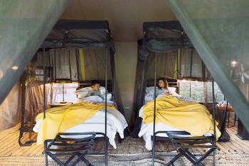 Forest Chem Chem: Junge Gäste in ihren Betten