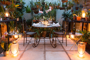 Giraffe Manor: Private Dinner im Gewächshaus