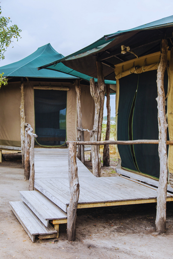 Kuthengo Camp: Familieneinheit