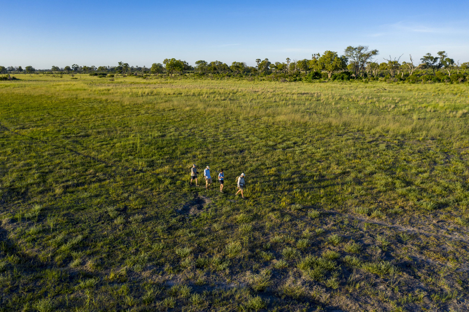 Beagle Expeditions Beagle Expeditions: Walking Safari
