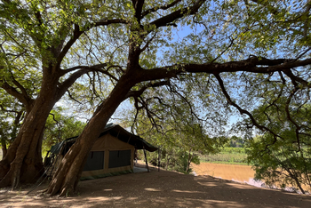 Lale's Camp: Omo River vor dem Camp