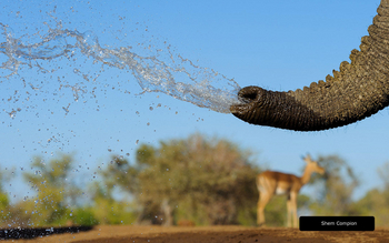 Mashatu Photographic Hide: Spritzendes Wasser