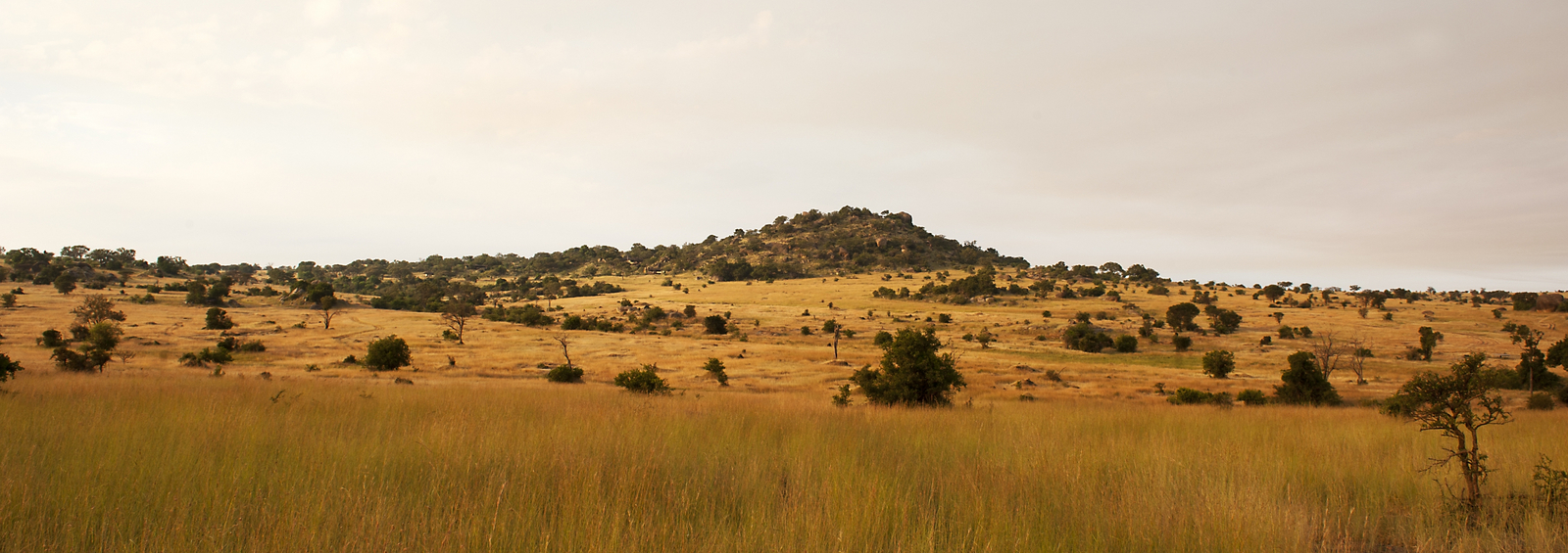 Mkombe's House Lamai Mkombe's House Lamai: Lage des Camps