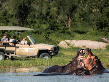 Mogotlho Safari Lodge Mogotlho Safari Lodge: Kämpfende Nilpferde