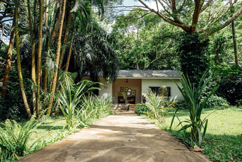 Mt. Meru Game Lodge: Weg