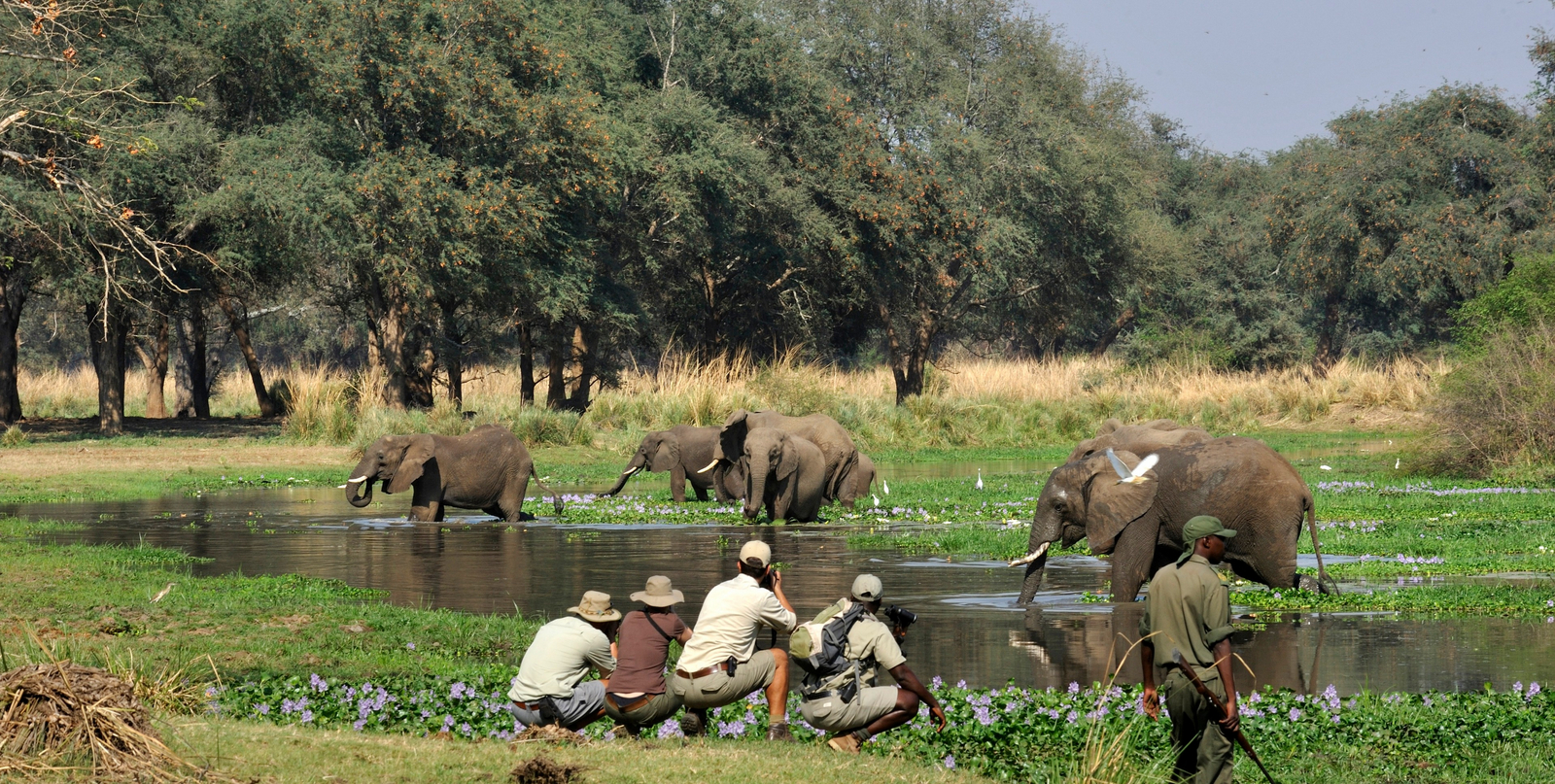 Old Mondoro Camp Old Mondoro Camp: Walking Safari