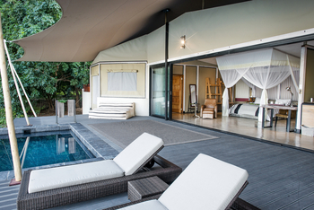 Sausage Tree Camp: Luxury Suite