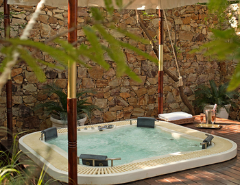 Sujan Sher Bagh: Royal Sher Suite - Plunge Pool