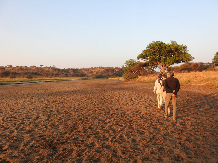 Tarangire Safari Lodge
