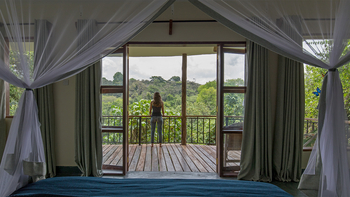 Turaco Treetops: Blick