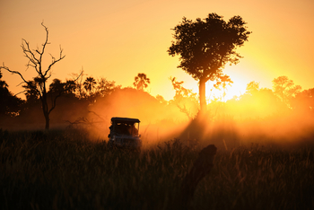 Xigera Safari Lodge Xigera Safari Lodge: Lichterscheinung