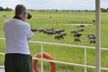 Zambezi Queen Zambezi Queen: Tiere und Landschaft