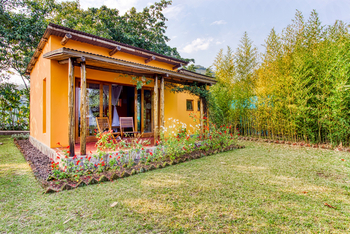 Chameleon Hill Forest Lodge: Gästeunterkunft gelb