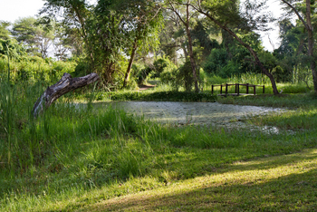 Chundukwa River Lodge: Garten
