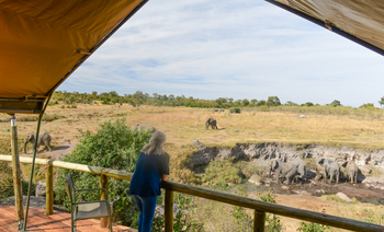 Deteema Springs Camp: Gästezelt