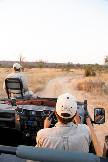 Dulini River: Tracker und Guide
