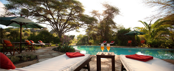 Elewana Tortilis Camp: Getränke am Pool