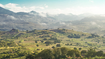 Gorongosa Safaris: Grüne Hügel von Gorongosa