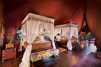 Jacks Camp Jacks Camp: Doppelbetten im Gästezelt