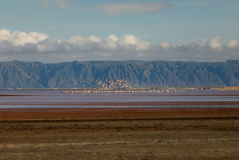 Kisima Ngeda Camp: Flamingos