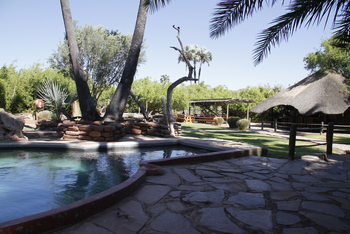Palmwag Lodge Palmwag Lodge: Swimming Pool