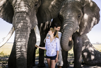 Sanctuary Stanley's Camp: Elephant Experience