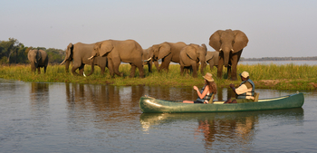 Sausage Tree Camp: Elefanten und Kanus