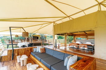 Serengeti Bushtops: Family Tent