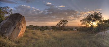 Serengeti Bushtops: Gästezelte